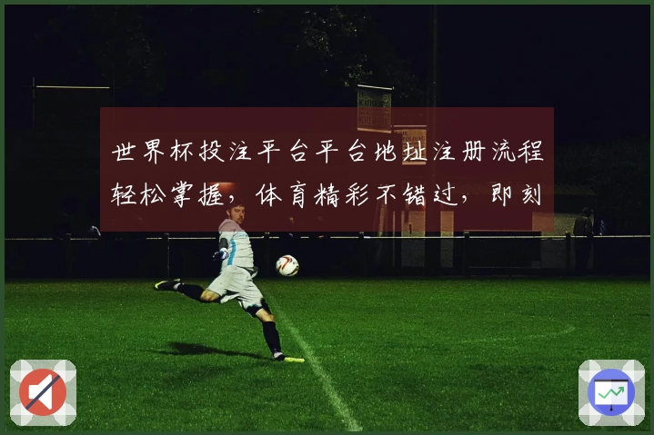 世界杯投注平台平台地址注册流程轻松掌握，体育精彩不错过，即刻开启您的观赛之旅