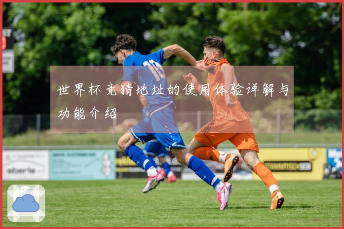 世界杯竞猜地址的使用体验详解与功能介绍