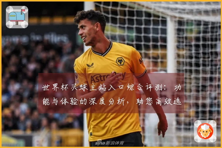 世界杯买球主站入口综合评测：功能与体验的深度分析，助您高效选择