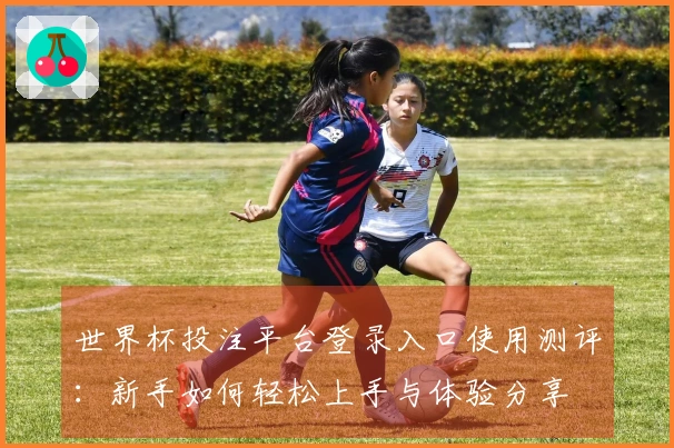 世界杯投注平台登录入口使用测评：新手如何轻松上手与体验分享