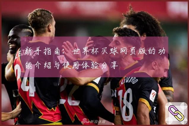 新手指南：世界杯买球网页版的功能介绍与使用体验分享