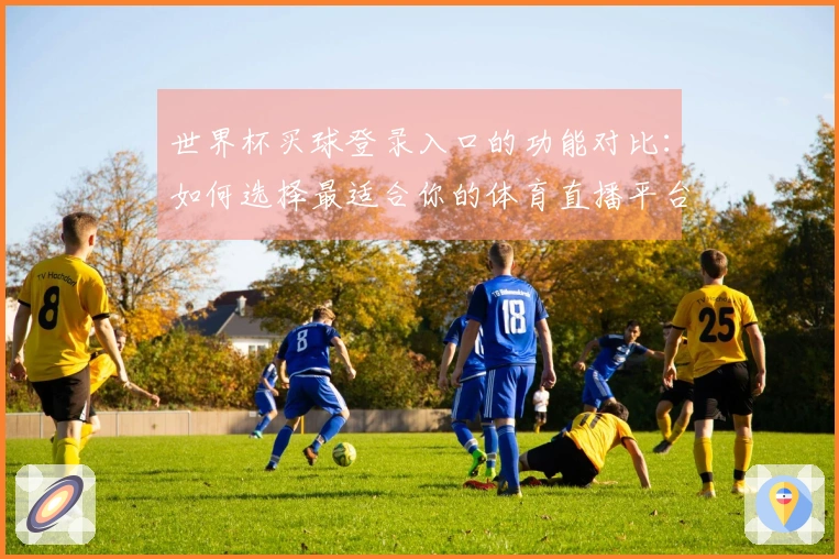 世界杯买球登录入口的功能对比：如何选择最适合你的体育直播平台？