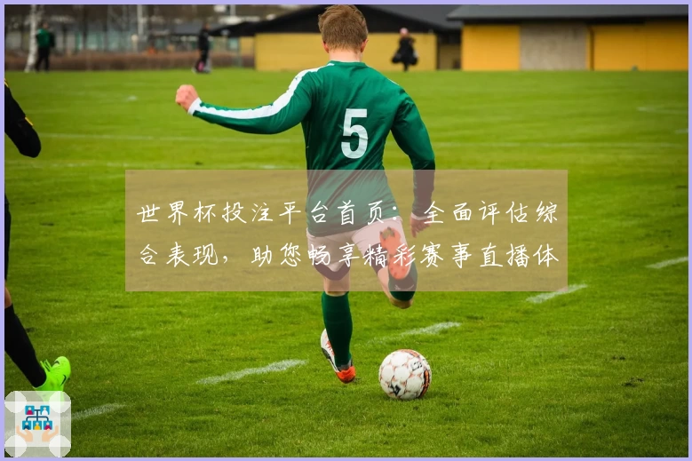 世界杯投注平台首页：全面评估综合表现，助您畅享精彩赛事直播体验