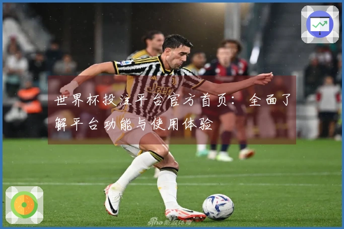 世界杯投注平台官方首页：全面了解平台功能与使用体验