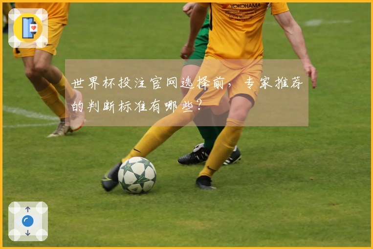 世界杯投注官网选择前，专家推荐的判断标准有哪些？