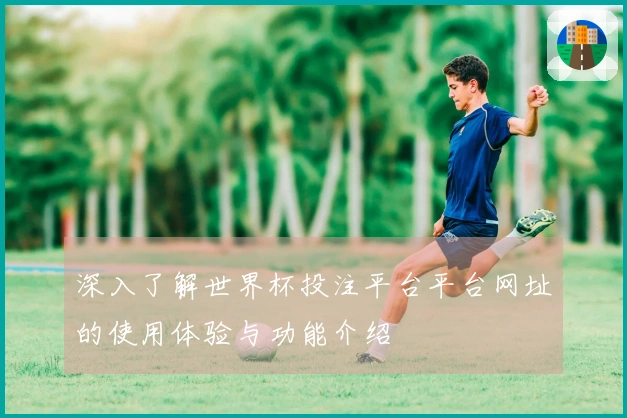 深入了解世界杯投注平台平台网址的使用体验与功能介绍
